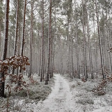 Appartamento Haus Lena 1